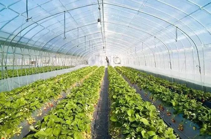 有機肥建廠，選原料和輔料一定得考慮這些……