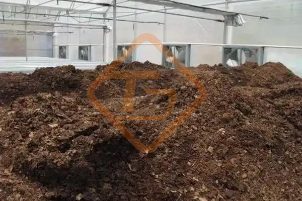印度：蚯蚓把城市有機(jī)垃圾變成絕佳肥料