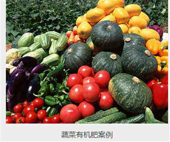 農(nóng)業(yè)步入新階段，有機肥設備大力推動畜牧業(yè)綠色循環(huán)發(fā)展